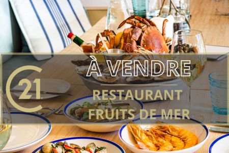 Galerie photo de l'annonce