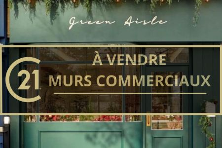Galerie photo de l'annonce