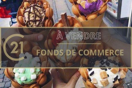 Galerie photo de l'annonce