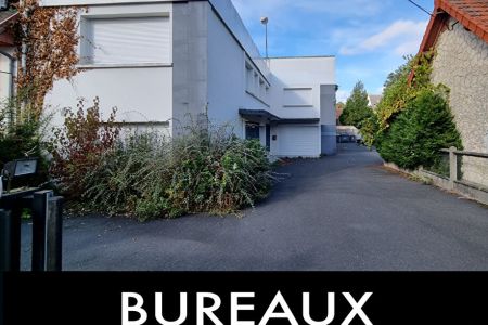 Galerie photo de l'annonce