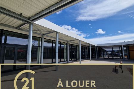 Galerie photo de l'annonce
