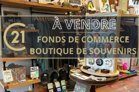 Galerie photo de l'annonce