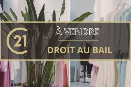 Galerie photo de l'annonce