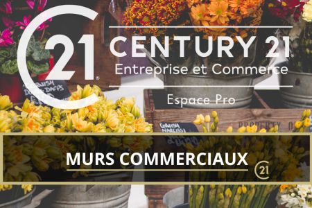 Galerie photo de l'annonce