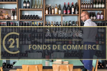 Galerie photo de l'annonce