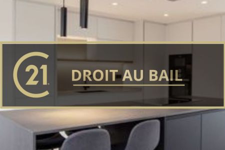 Galerie photo de l'annonce