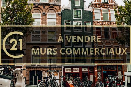 Galerie photo de l'annonce