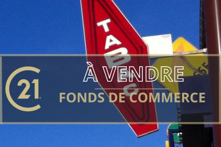 Galerie photo de l'annonce