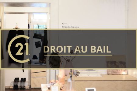 Galerie photo de l'annonce