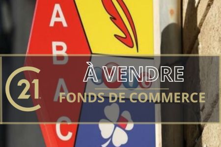 Galerie photo de l'annonce