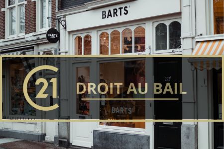 Galerie photo de l'annonce