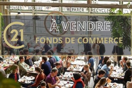 Galerie photo de l'annonce
