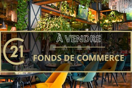 Galerie photo de l'annonce