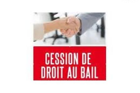 Galerie photo de l'annonce