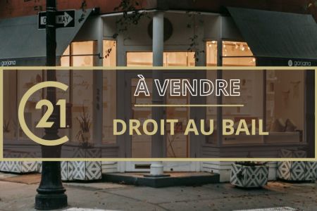 Galerie photo de l'annonce