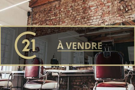 Galerie photo de l'annonce