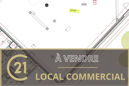 Galerie photo de l'annonce