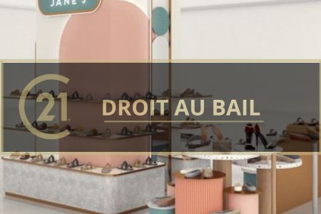 Galerie photo de l'annonce