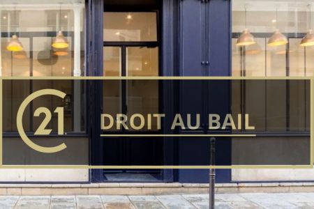 Galerie photo de l'annonce