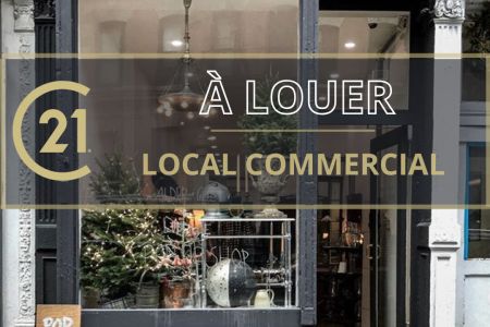 Galerie photo de l'annonce