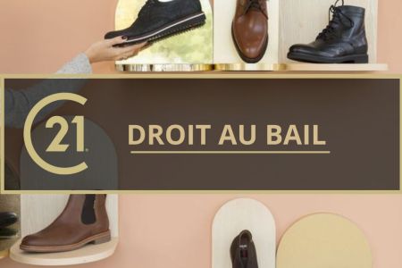 Galerie photo de l'annonce