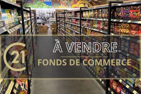 Galerie photo de l'annonce