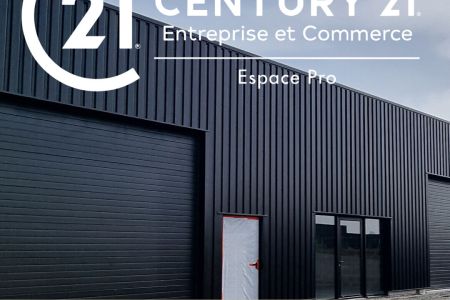Galerie photo de l'annonce