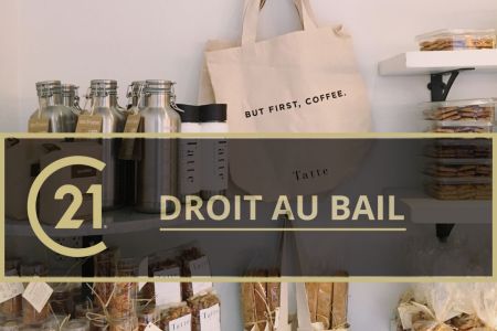 Galerie photo de l'annonce