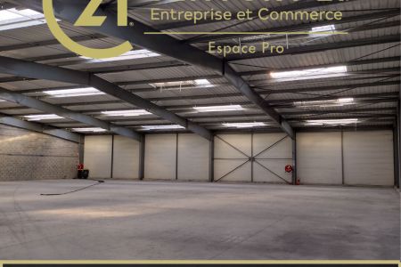Galerie photo de l'annonce