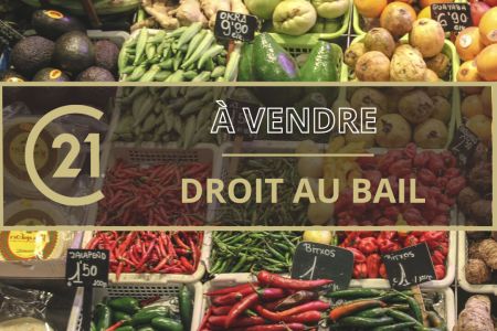 Galerie photo de l'annonce