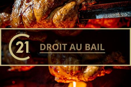 Galerie photo de l'annonce