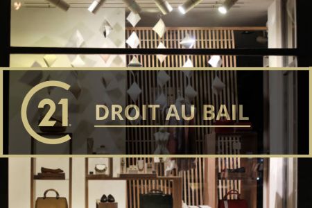 Galerie photo de l'annonce