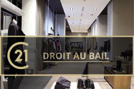 Galerie photo de l'annonce