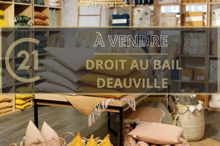 Galerie photo de l'annonce