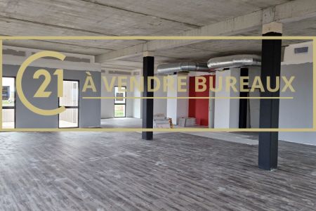 Galerie photo de l'annonce