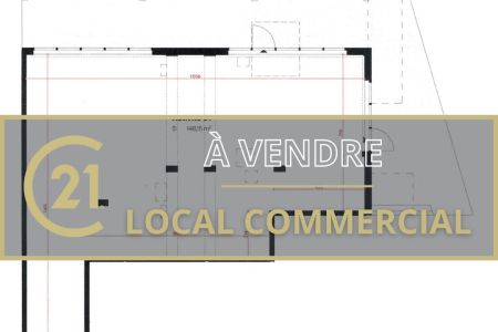Galerie photo de l'annonce