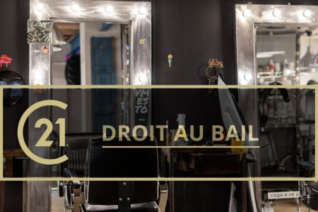 Galerie photo de l'annonce