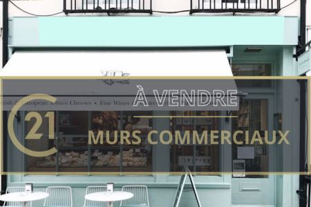 Galerie photo de l'annonce