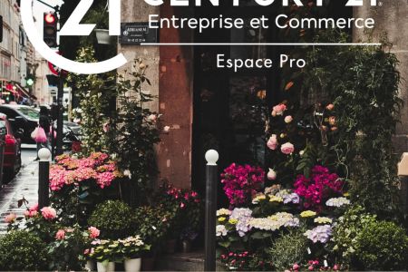 Galerie photo de l'annonce