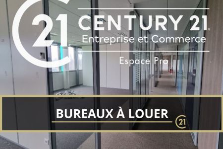 Galerie photo de l'annonce
