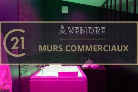 Galerie photo de l'annonce