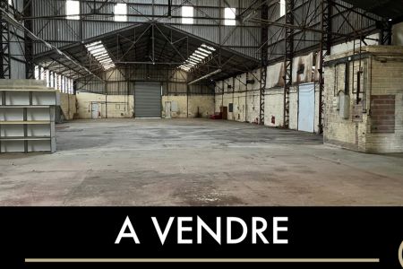 Galerie photo de l'annonce