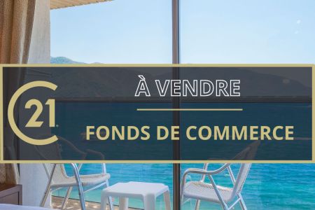 Galerie photo de l'annonce