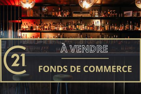 Galerie photo de l'annonce