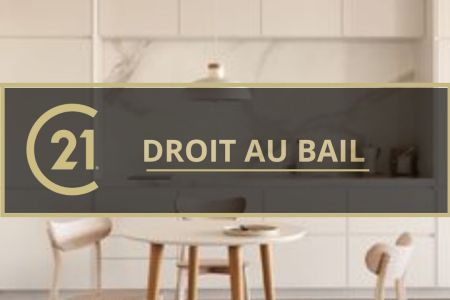 Galerie photo de l'annonce