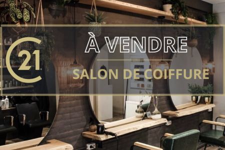 Galerie photo de l'annonce