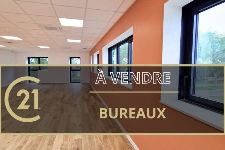 Galerie photo de l'annonce
