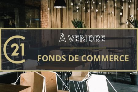 Galerie photo de l'annonce