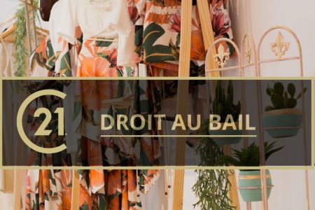 Galerie photo de l'annonce