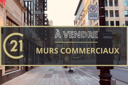 Galerie photo de l'annonce
